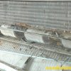 fan coil gravemente contaminato da bacilli miceti e virus